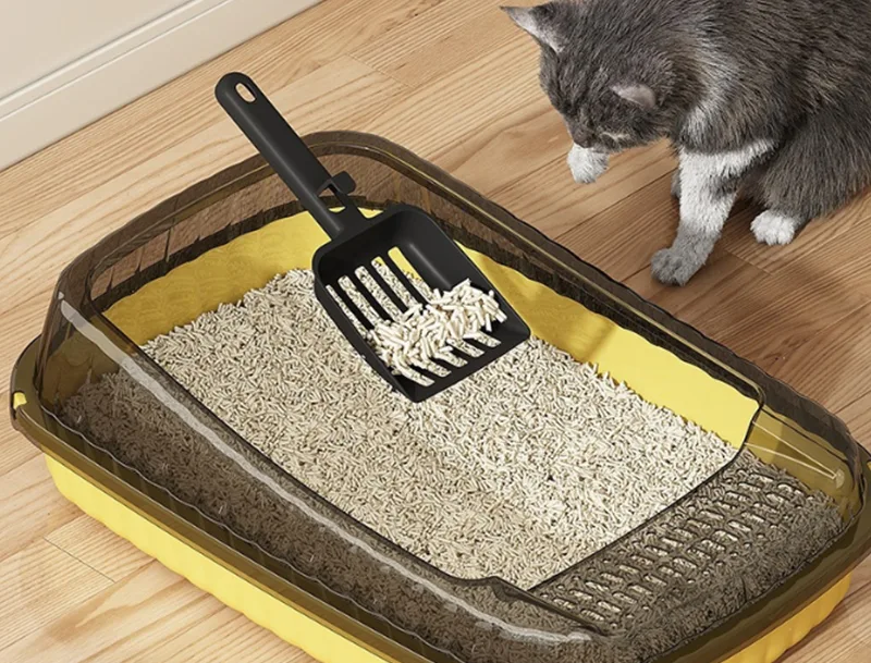 Kan de GRS PP kattenbak de grootste frustraties van katteneigenaren oplossen?